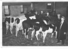 GrandpasChampionHerd.gif (294530 bytes)